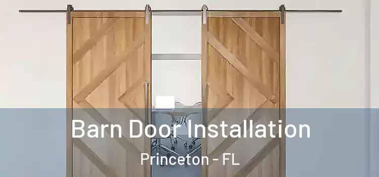 Barn Door Installation Princeton - FL