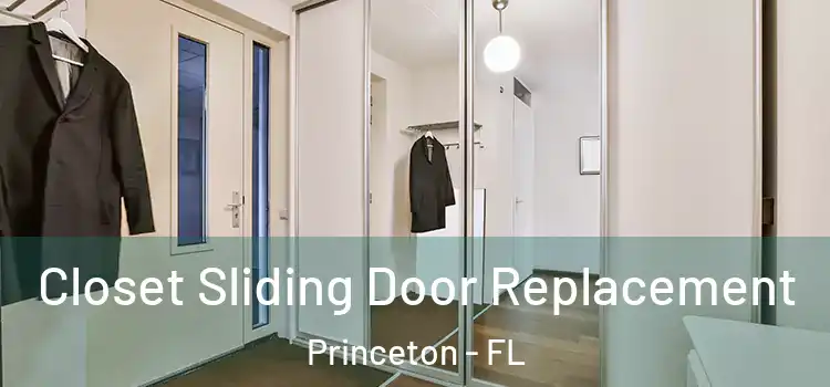 Closet Sliding Door Replacement Princeton - FL