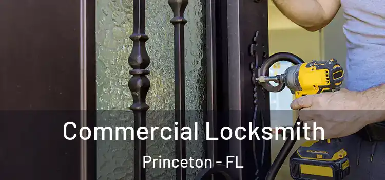 Commercial Locksmith Princeton - FL
