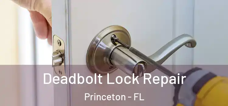 Deadbolt Lock Repair Princeton - FL