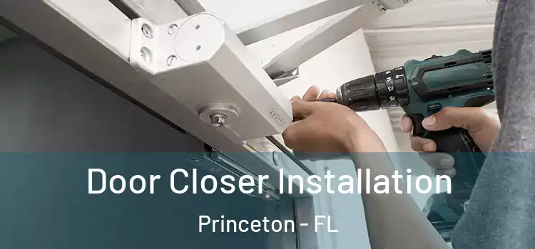 Door Closer Installation Princeton - FL