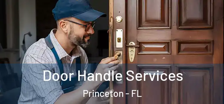 Door Handle Services Princeton - FL