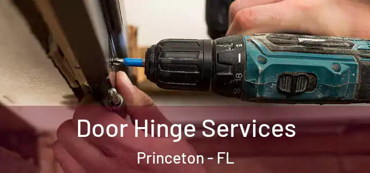 Door Hinge Services Princeton - FL