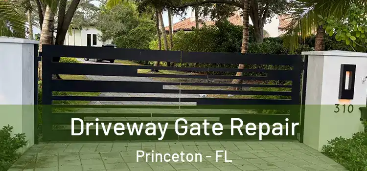 Driveway Gate Repair Princeton - FL