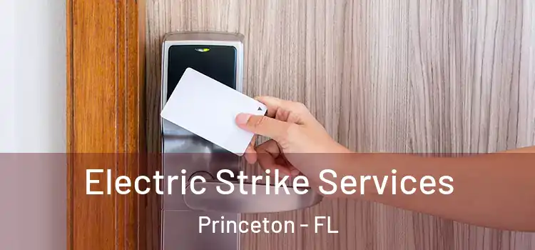 Electric Strike Services Princeton - FL