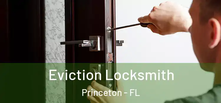Eviction Locksmith Princeton - FL