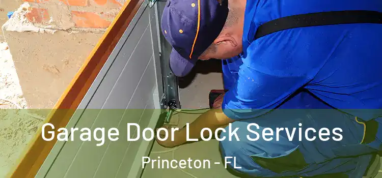 Garage Door Lock Services Princeton - FL