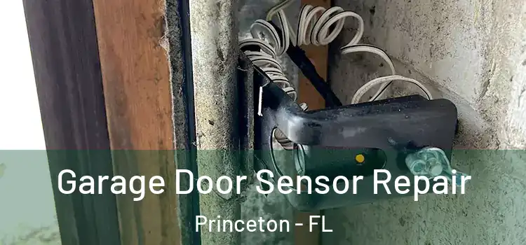Garage Door Sensor Repair Princeton - FL