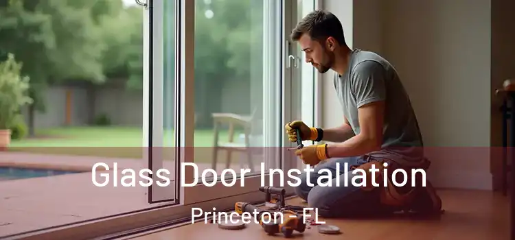 Glass Door Installation Princeton - FL