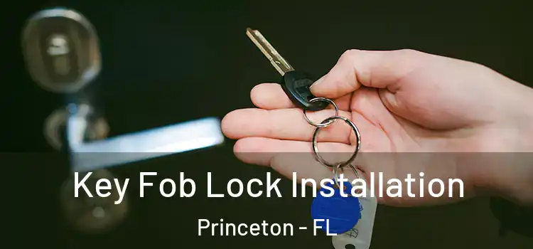 Key Fob Lock Installation Princeton - FL