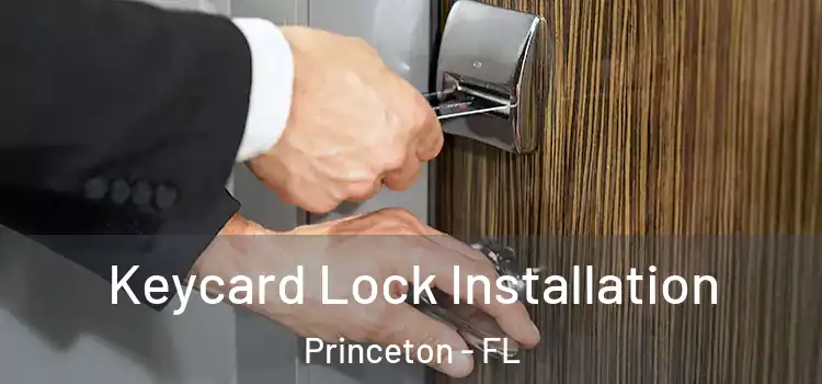 Keycard Lock Installation Princeton - FL