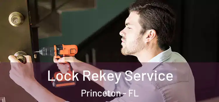 Lock Rekey Service Princeton - FL