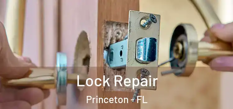 Lock Repair Princeton - FL