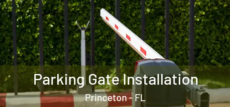 Parking Gate Installation Princeton - FL