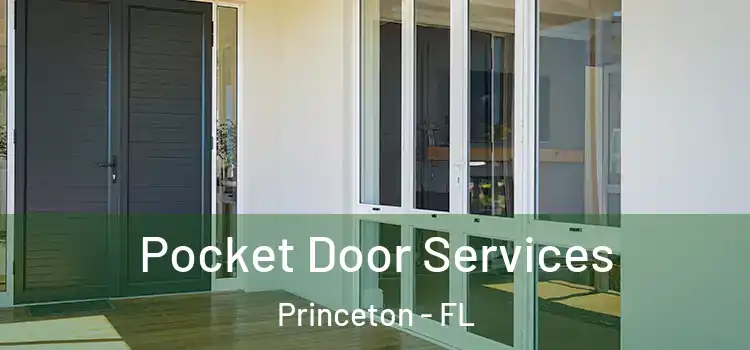 Pocket Door Services Princeton - FL