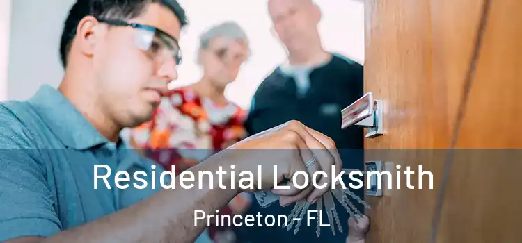 Residential Locksmith Princeton - FL