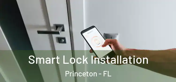 Smart Lock Installation Princeton - FL